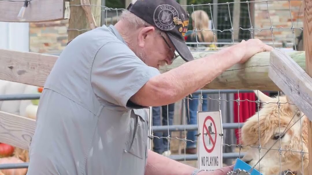 Fluffy Faces and New Friends: Greensboro Residents Visit Rainbow Magic Alpaca Farm